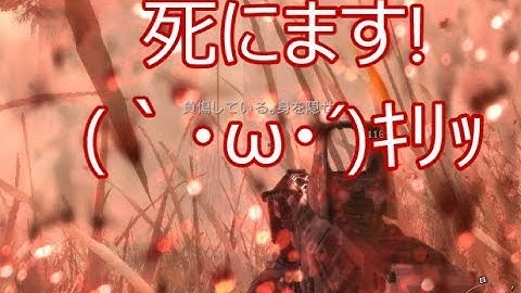 【CoD:MW2】糞声で吹き替えキャンペーンpart14