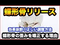 【蝶形骨の調整】蝶形骨を緩めるには正しく歪みを治す！動かし方・解剖・矯正方法