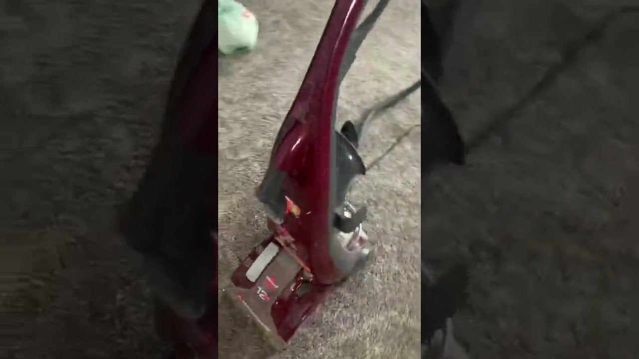 Using the Bissell ProHeat Pet Carpet Cleaner (OLD)