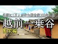 信長に滅ぼされた幻の町【一乗谷】朝倉100年の繁栄を追う