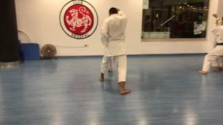 Mannequin challenge karate