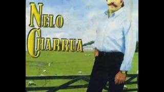 Nelo Charrua (Nova Saudade)Música de:João César