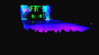 Disney on Ice Part 2