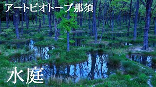 人と自然  共生願う「水庭」アートビオトープ那須　栃木県那須町
