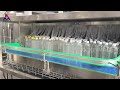 DCGF Series PET Bottled Carbonated Drink Filling Line | 3-in-1, Labeling & Packing 🚀