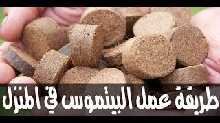 الزراعة بدون تربة : طريقة تحضير و تجهيز و صناعة الكوكوبيت في المنزل ( البيتموس ) coco peat Peat Moss