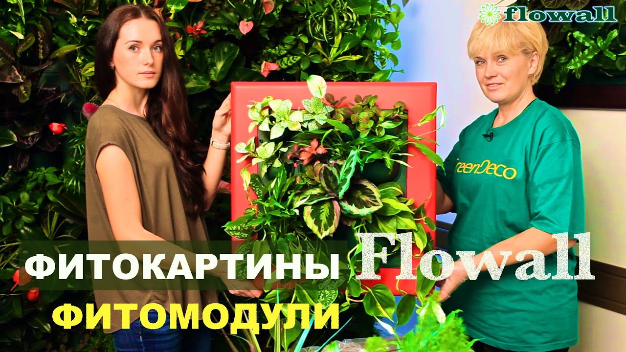 Фитокартины Flowall | Фитостены и фитомодули