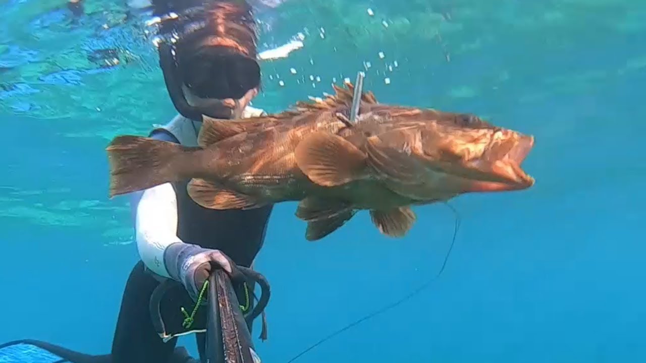 Ep. 284 Margarida spears a beautiful Grouper – Sailing and Adventure in Cuba and the Caribbean