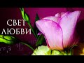 Свет любви (аудио стихи) Алла Сигарёва