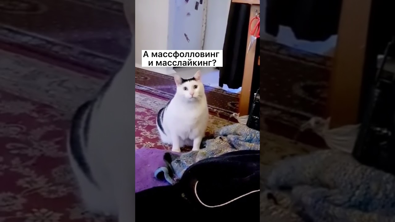 "И жнец, и швец, и на дуде игрец" . - YouTube