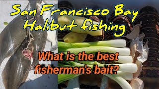 San Franscisco Bay Halibut Fishing: What is the best fisherman's Bait?