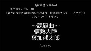 Video thumbnail of "Aerophone伴奏 情熱大陸 (カラオケ Ver.)"
