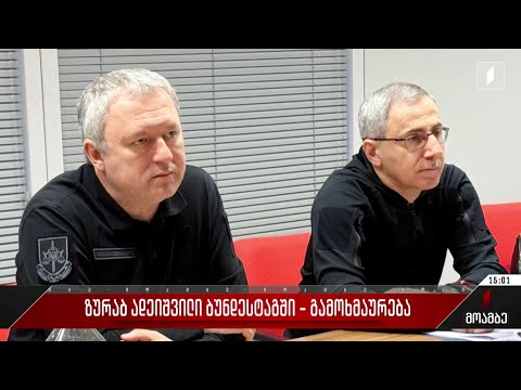 ზურაბ ადეიშვილი ბუნდესტაგში - გამოხმაურება პოლიტიკურ სპექტრში