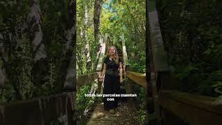 Valle la Cascada: Parcelas desde 5.000 m2 , Camino entre Pucón-Villarrica