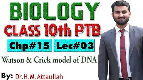 Watson and crick model of DNA | Chapter # 15 | Biology Class 10th | Lec# 03