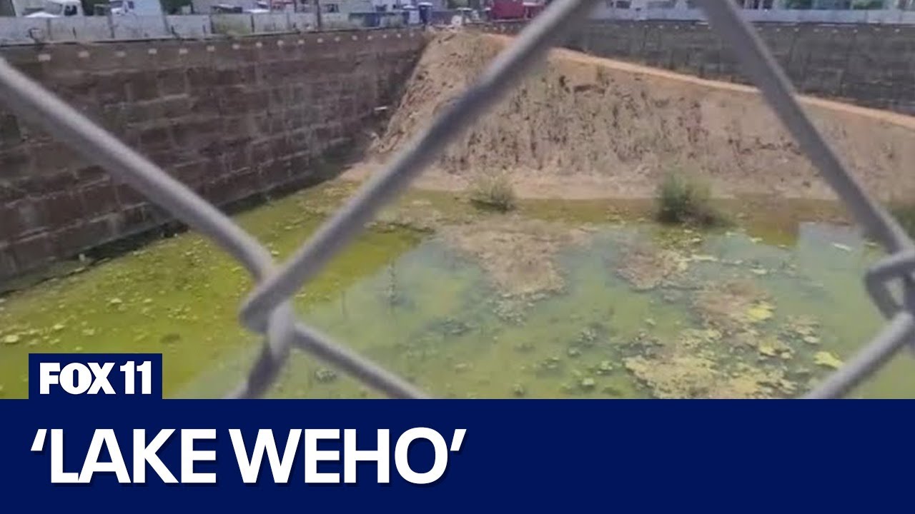 Residents complain of mosquito infestation at 