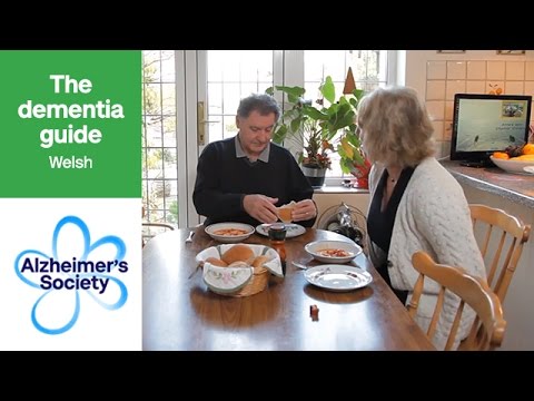 The dementia guide: Welsh
