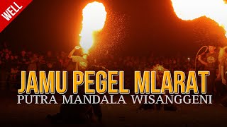 Dj Bantengan  putra Mandala Wisanggeni  Jamu Pegel Mlarat  Remixerby As Project