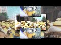 Youtube Thumbnail title