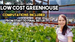 Constructing Low Cost Greenhouse | Lettuce Hydro Farming | Lettuce in a Cup | Hydroponics