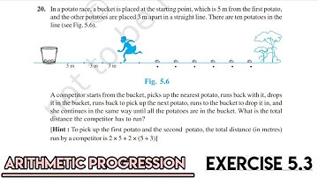 In a potato race, a bucket is placed at the starting point, which is 5 m from the first potato, and
