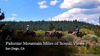 Palomar Mountain Miles of Scenic Views | San Diego, CA | San Diego Real Estate