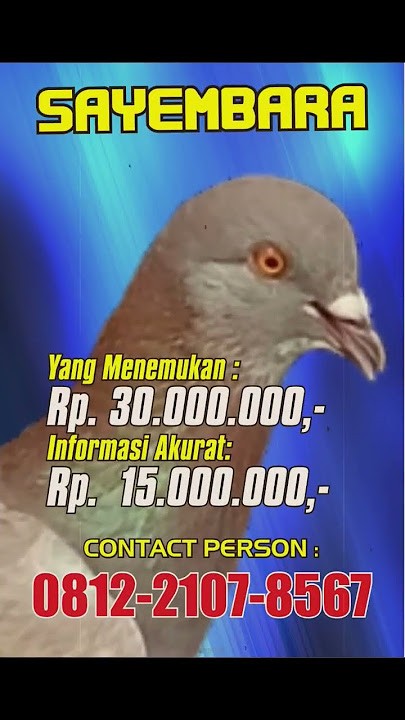 TEMUKAN BURUNG INI.. ANDA LANGSUNG DI TRANSFER 45 JUTA... SERIUS!!!