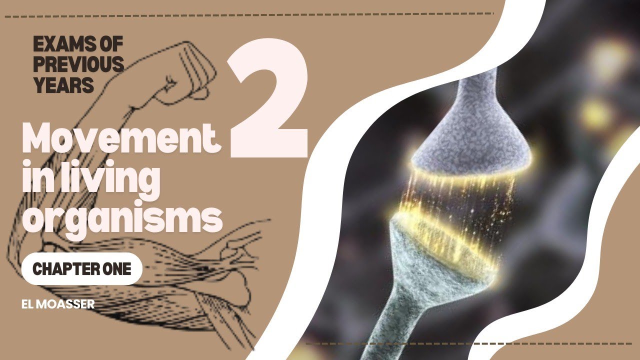 CHAPTER 1 | Lesson 2 | ELMOASSER | Movement in living organisms | questions of previous years 