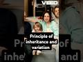 #principle_of_inheritance_and_variation #class12biology