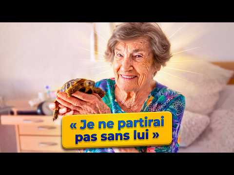 Seniors Who Refuse to Give Up Their Pets - Full Report