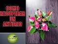 Como Recuperar un ANTURIO |ANTHURIUM