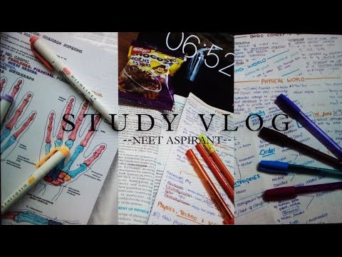 Study vlog   ll   class 11  ll NEET  aspirant ll Study buddy ll