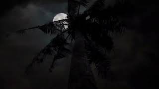 Peaceful And Calm Mind Set , Dark Moon, Stress Relief, Positive screenshot 4