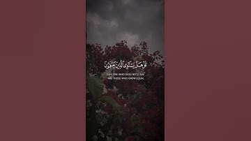 تلاوه من سورة الزمر|بصوت الشيخ ياسر الدوسري🎧♥️#trending #quran #قران_كريم #راحة_نفسية #قرآن