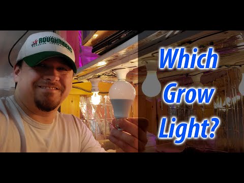 Video: Hvor mange lumen er en 150 watt CFL-pære?