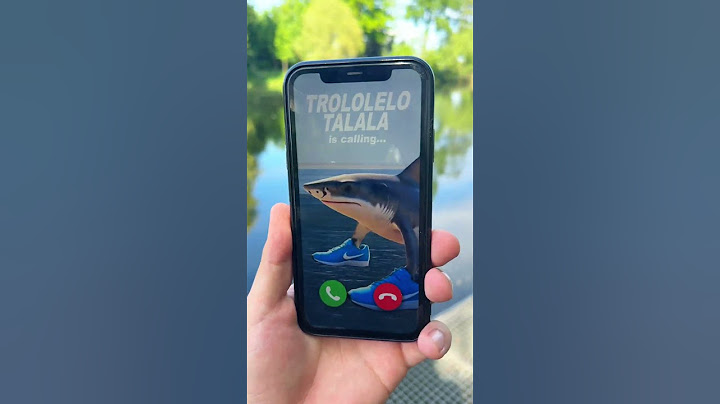TRALALERO TRALALA is calling me