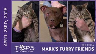 4/23/2026 | Neuhaus, Ferrero and Mama Girl | Mark's Furry Friends Extra
