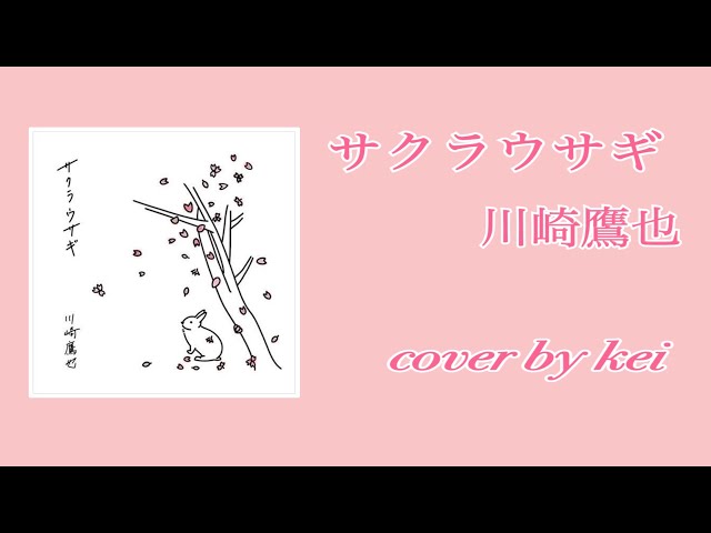 サクラウサギ 川崎鷹也 cover by kei - YouTube