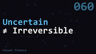 Uncertainty and Irreversibility Are Not the Same Thing | Visual Finance | VF060