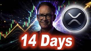 Ripple CEO On Anti-Crypto Army & The Long Strange XRP Trip