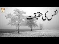 Watch Roshni Sab Kay Liye - 19th July 2018 - ARY Qtv Online In HD