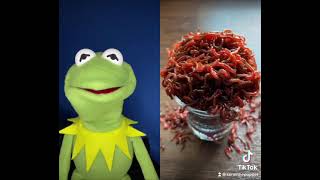 Kermit The Frog reacts to satisfying Tiktok Videos