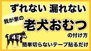 【ずれない】老犬おむつの付け方【漏れない】