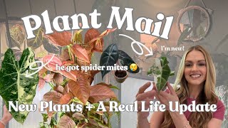 Unboxing an Alocasia 🪴New Pink Plants + A Real Life & Collection Update 😞 