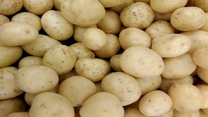 Harvesting Yukon Gold