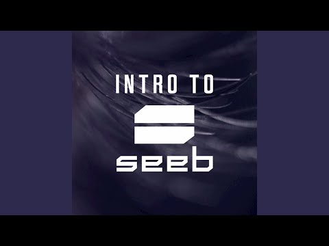 I Took A Pill In Ibiza (Seeb Remix)