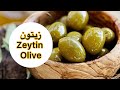 چطور شور زیتون حرفه ای درست کنیم Evyapimi Zeytin 