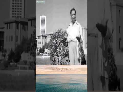 شمس وهوا وماية كل ده ببلاش