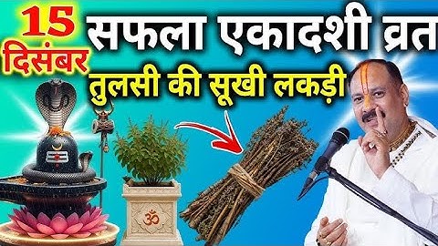 15 दिसंबर सोमवार सफला एकादशी व्रत के दिन तुलसी की सुखी लकड़ी वाला उपाय जरुर करे || Pradeep Ji Mishra