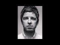 Noel Gallagher - If I Had A Gun (cover)
